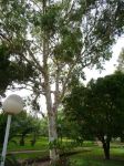 P1000320.JPG